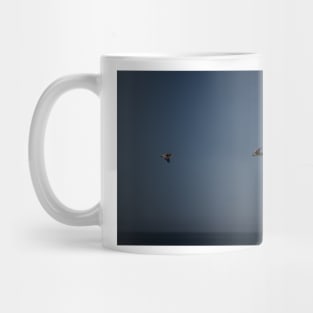 850_6190 Mug